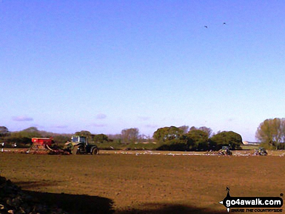 Near Burnley Hall, East Somerton 