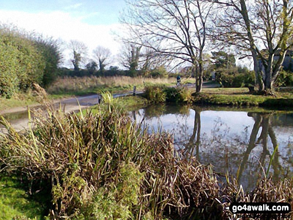 Walk nf145 Horsey from Winterton-on-Sea - Pond at Low Road, East Somerton