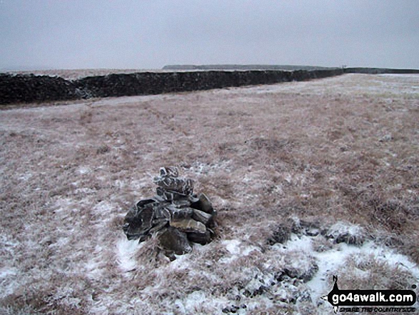 Walk ny158 Pen-y-ghent and Plover Hill from Horton in Ribblesdale - Plover Hill summit cairn in snow