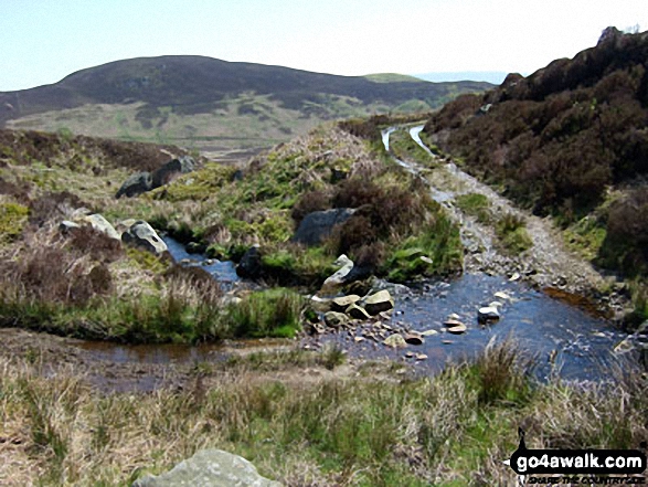 Nant y Coed on the slopes of Carnedd y Filiast (Arenigs) 