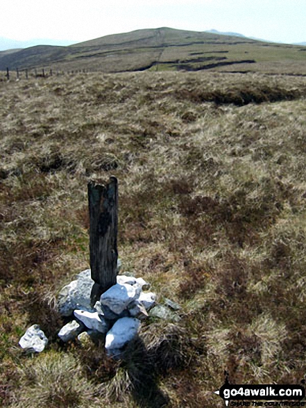 Walk gw104 Carnedd y Filiast and Arenig Fach from Llyn Celyn - Waun Garnedd-y-filiast summit