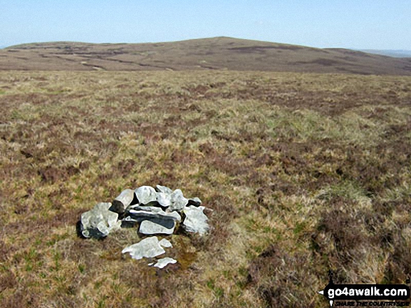 Walk gw182 Carnedd y Filiast (Arenigs) and Foel-boeth from Llyn Celyn - Carnedd Llechwedd-llyfn summit cairn