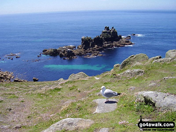 Walk co109 Kelsey Head and Holywell from West Pentire - The Armed Knight, Land's End