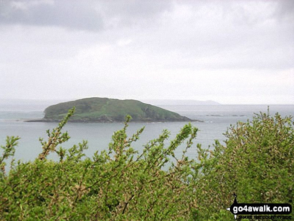 Walk co147 Talland Bay and Portlooe from West Looe - Looe Island