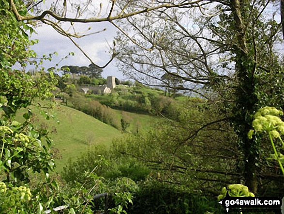 Walk co111 Polperro and Talland Bay from Crumplehorn - Talland Bay Church