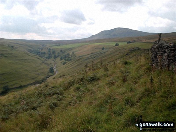 Walk ny112 Pen-y-ghent and Plover Hill from Dale Head - Pen-y-ghent Gill