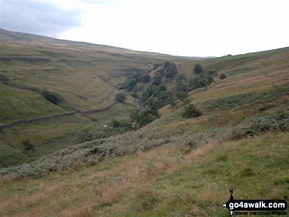 Pen-y-ghent Gill 