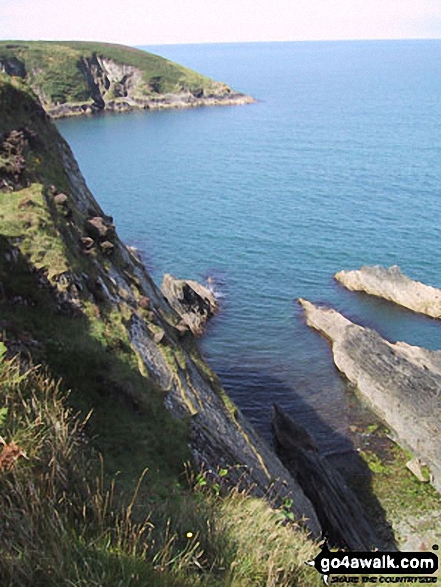 Walk pe119 Pen Dal-aderyn from Porthstinian - The Pembrokeshire Coast Path