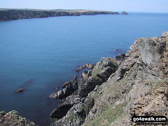 Walk pe110 Aber Bach and Pen y Fan (Dinas Head) from Cwm-yr-Eglwys - The Pembrokeshire Coast Path