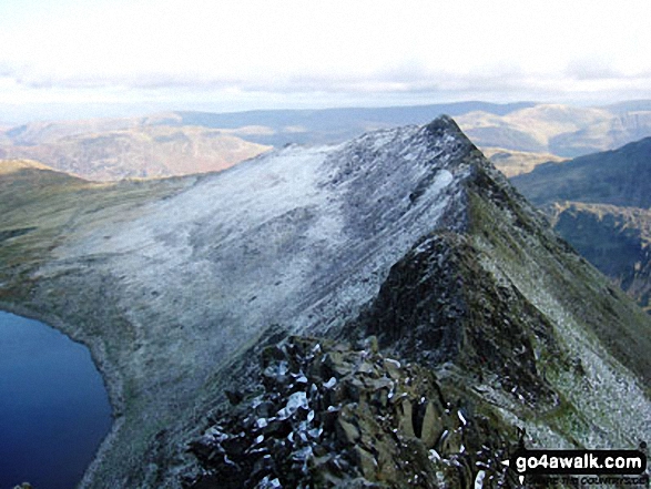 Walk c394 Helvellyn, Catstye Cam and Sheffield Pike from Glenridding - Striding Edge from Helvellyn in all its glory