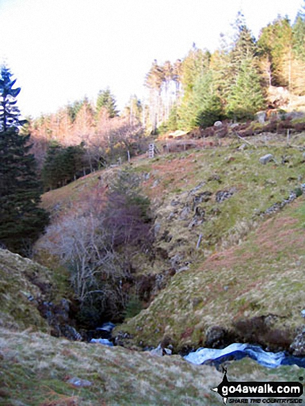 The (tall) ladder stile and the Shoulthwaite Beck ravine south of Castle Crag (Ashness Fell)