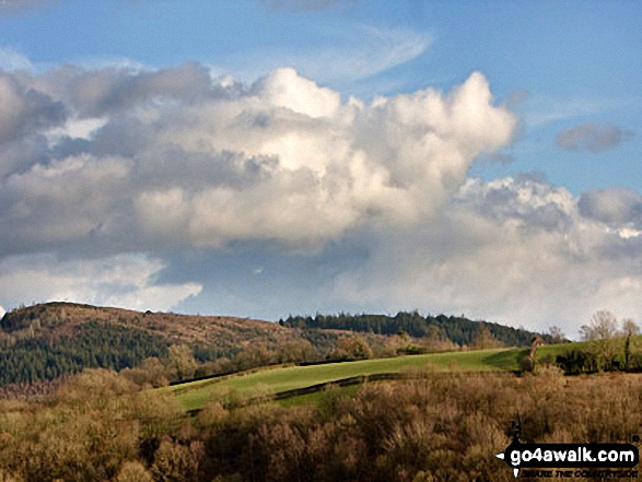 Allt y Gader from Fferm Cefn Gaer near Llanfyllin 