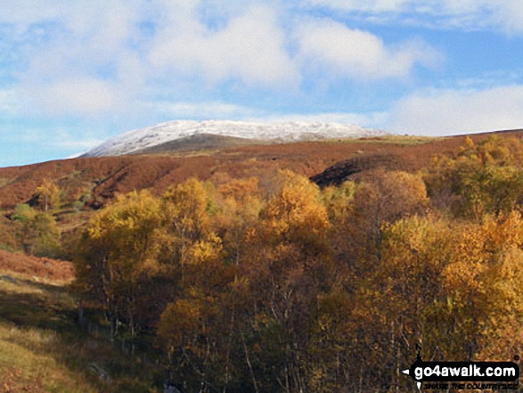 Ben Chonzie from Glen Lednock in all its autumn glory