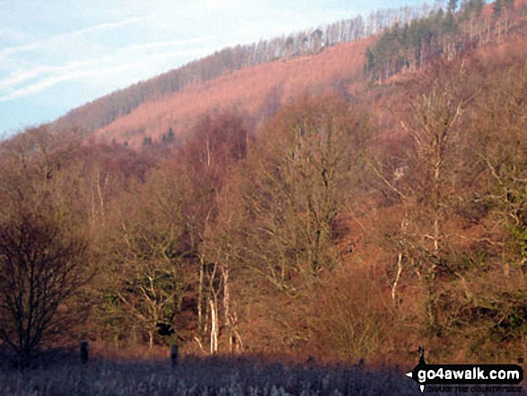 View from Sirhowy Valley Country Park 