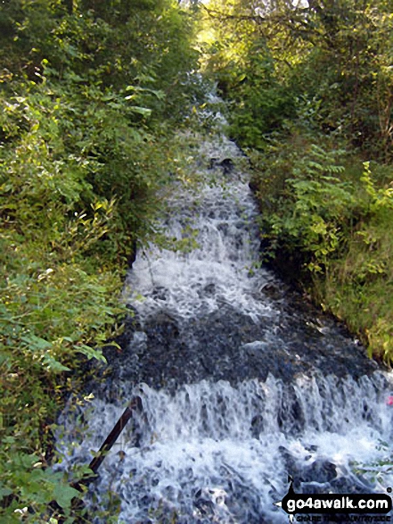 View from Dare Valley Country Park near Aberdare 