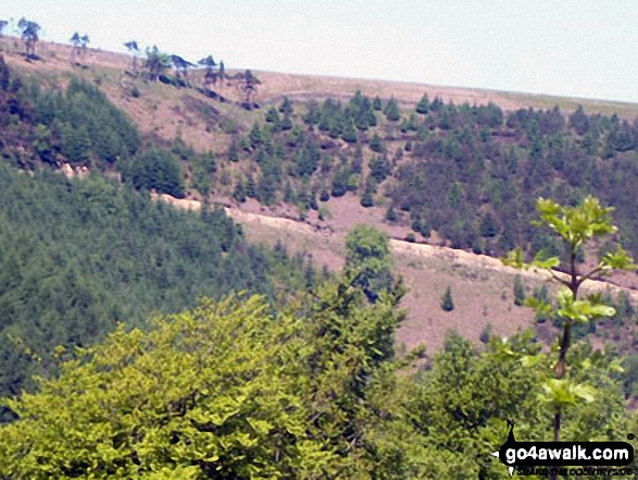 Views from Cwmcarn Forest Drive 