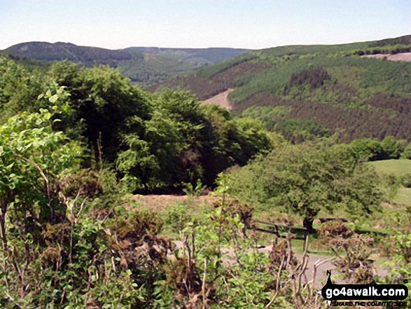 Views from Cwmcarn Forest Drive 