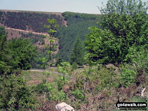 Views from Cwmcarn Forest Drive 