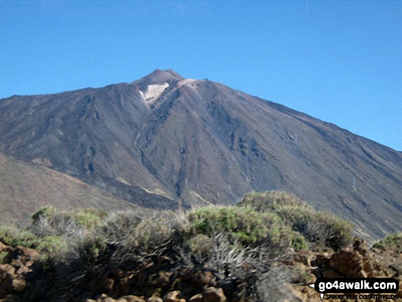 Photos from Mount Tiede National Park in Tenerife 