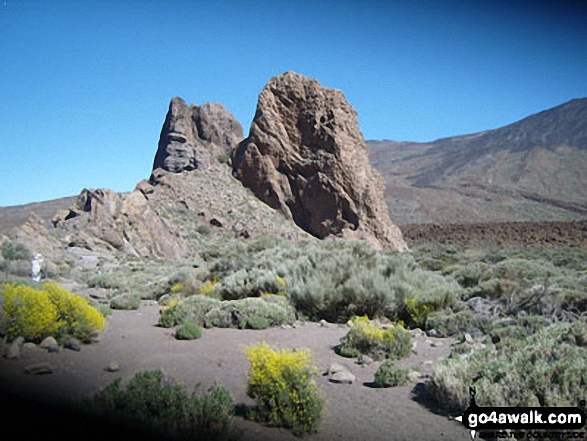 Photos from Mount Tiede National Park in Tenerife 