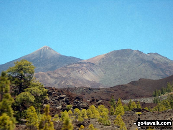 Photos from Mount Tiede National Park in Tenerife 