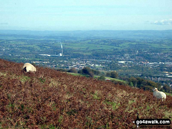 Views on the Cwmcarn Forest Drive 