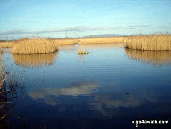 Views from Newport Wetlands Reserve, Uskmouth, Newport 