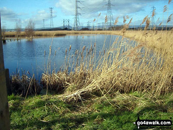 Views from Newport Wetlands Reserve, Uskmouth, Newport 