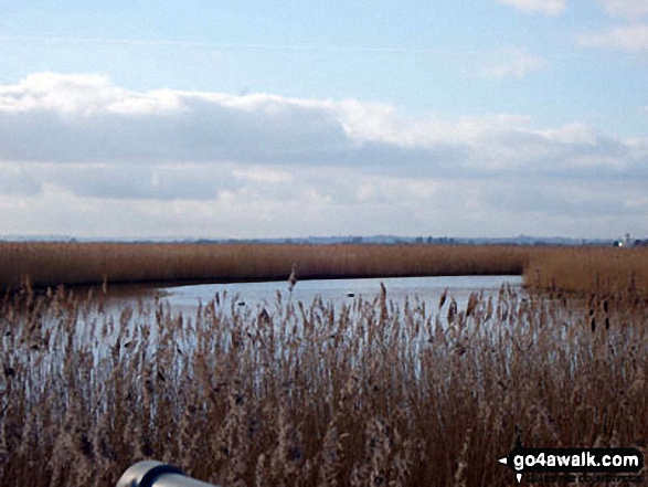 Views from Newport Wetlands Reserve, Uskmouth, Newport 