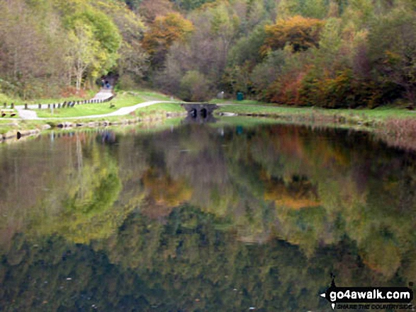 Views on the Cwmcarn Forest Drive 