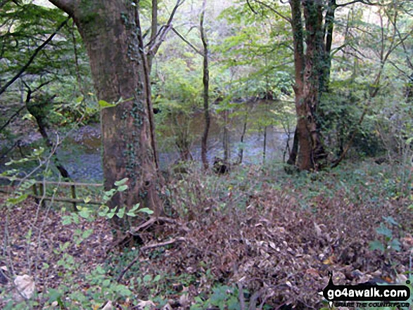 The Sirhowy River, Sirhowy Valley Country Park 