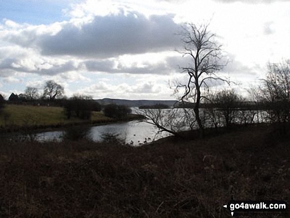 Walk d106 A Circuit of Carsington Water - Carsington Water