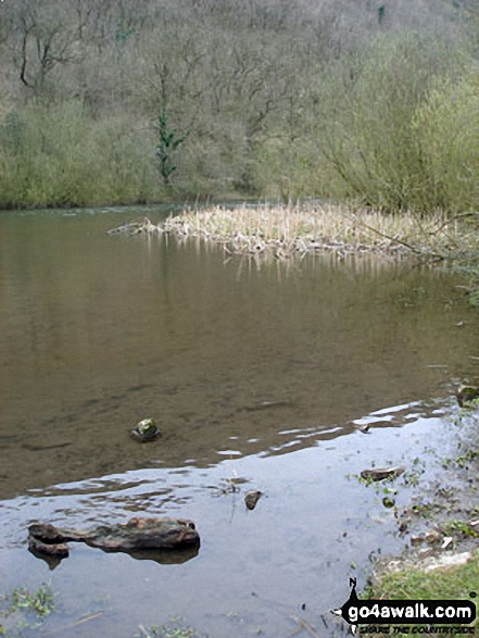 Walk d270 Monsal Head, Monsal Dale and Deep Dale from Ashford in the Water - The River Wye in Monsal Dale