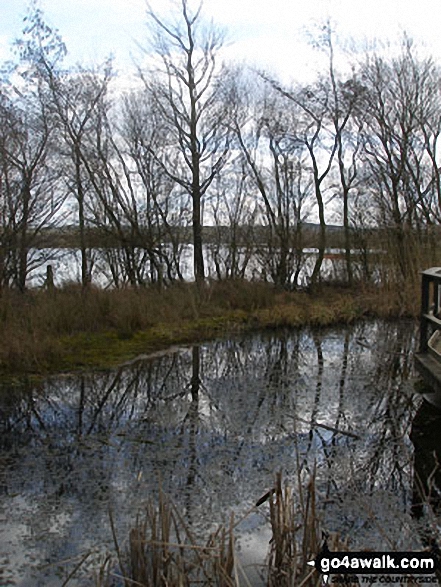 Walk d106 A Circuit of Carsington Water - Carsington Water