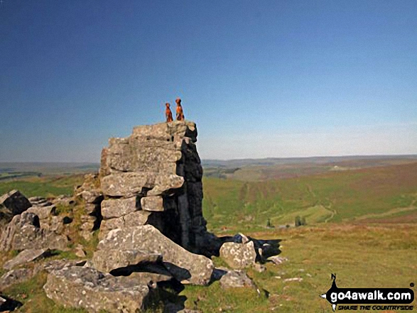 My dogs on top of Hookney Tor 