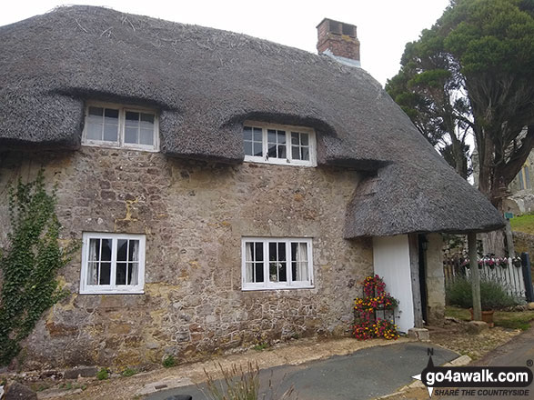 Thatched Cottages by Godshill church 