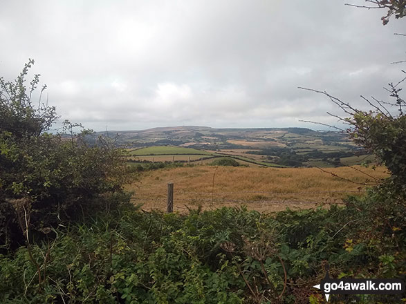 St Catherine's Down from Stenbury Down 