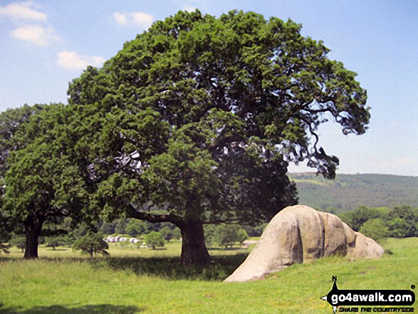 Walk d310 Dobb Edge and Chatsworth Park from Chatsworth House - Jubilee Rock, Chatsworth Park