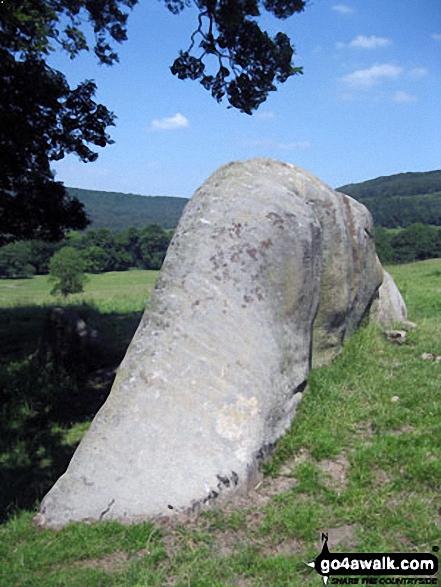 Walk d310 Dobb Edge and Chatsworth Park from Chatsworth House - Close-up view of Jubilee Rock, Chatsworth Park