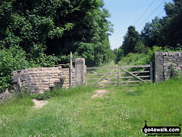 Walk d310 Dobb Edge and Chatsworth Park from Chatsworth House - Path from Chatsworth Park into Jumble Coppice