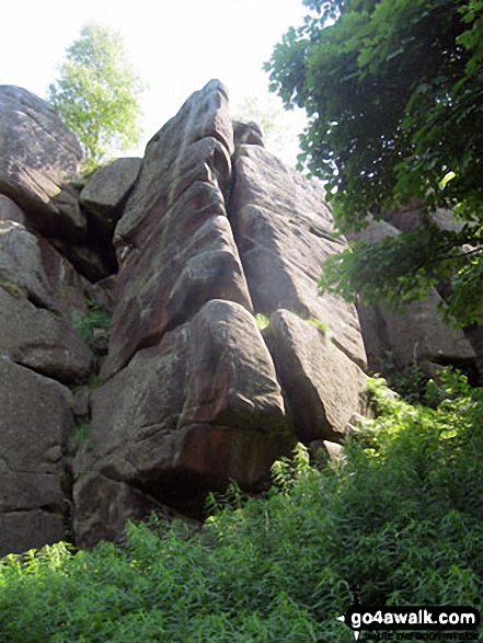 Walk d310 Dobb Edge and Chatsworth Park from Chatsworth House - Rock cliffs above Jumble Coppice