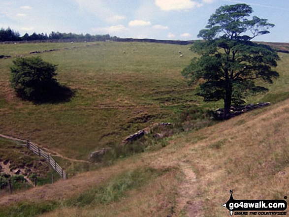 Walk d223 Durham Edge, Great Hucklow and Little Hucklow from Bradwell - Crossing Bretton Brook on Abney Moor