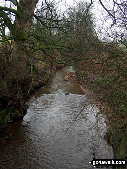 Walk ch161 Great Budworth from Arley Hall - Arley Brook