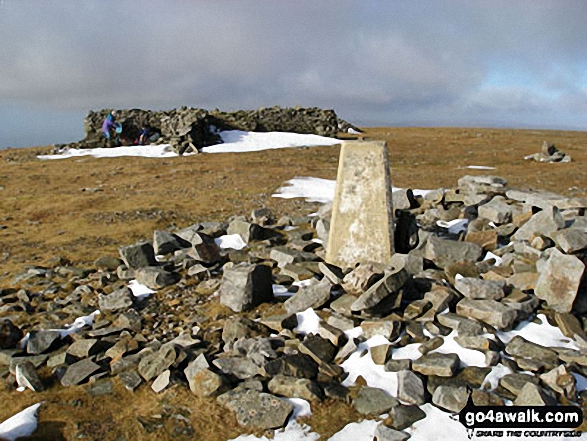 Walk c293 Cross Fell and Great Dun Fell from Garrigill - Cross Fell summit