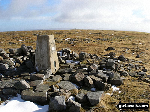 Walk c317 Cross Fell from Kirkland - Cross Fell summit