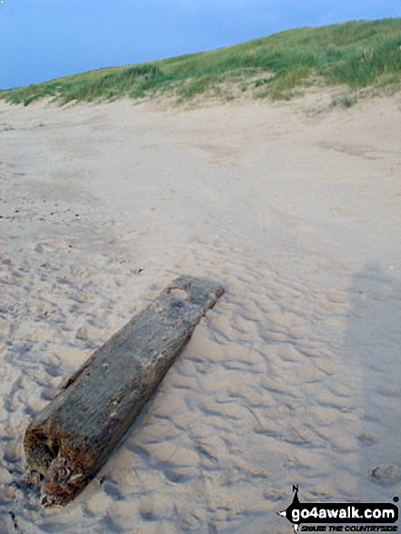 Walk me109 Ainsdale Nature Reserve and Coast from Ainsdale-on-Sea - Driftwood on Ainsdale Sands