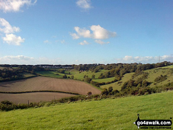 On Bulbarrow Hill 