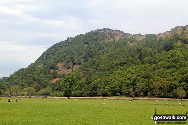 Walk c135 Castle Crag and Rosthwaite from Seatoller (Borrowdale) - King's How from near Rosthwaite, Borrowdale