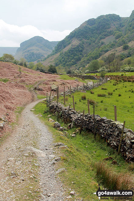 On the Cumbrian Way beside Stonethwaite Beck looking up Borrowdale to Alisongrass Crag and Eagle Crag