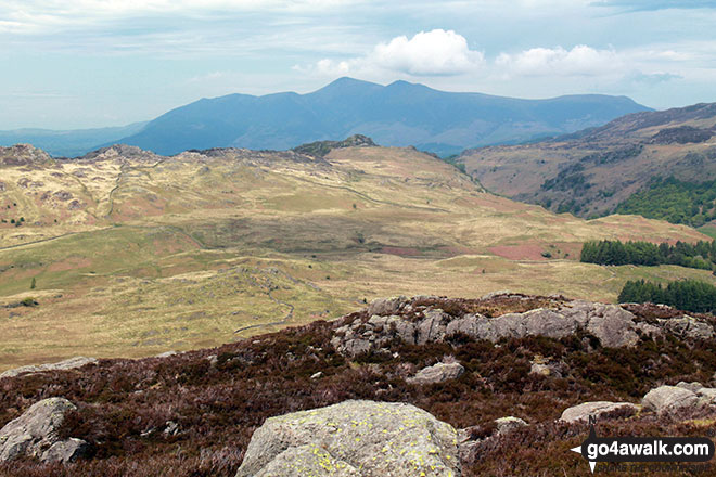 Walk c243 High Raise and Ullscarf from Rosthwaite - Skiddaw and Blencathra from the summit of Great Crag